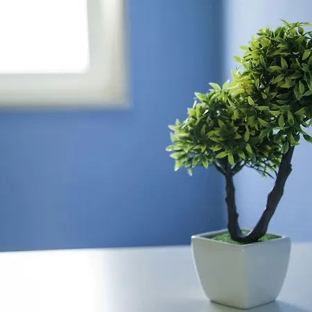 I Girasoli Srls 3* バーリ