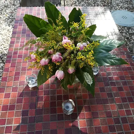I Girasoli Srls * Μπάρι