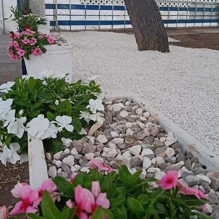 I Girasoli Srls Отель типа 