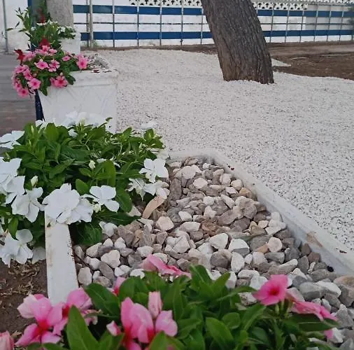 I Girasoli Srls Bed & Breakfast